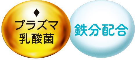 プラズマ乳酸菌 鉄分配合